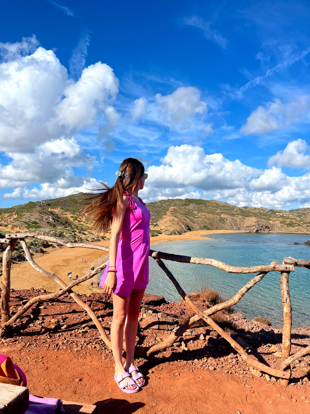 Ginger Pink Dress