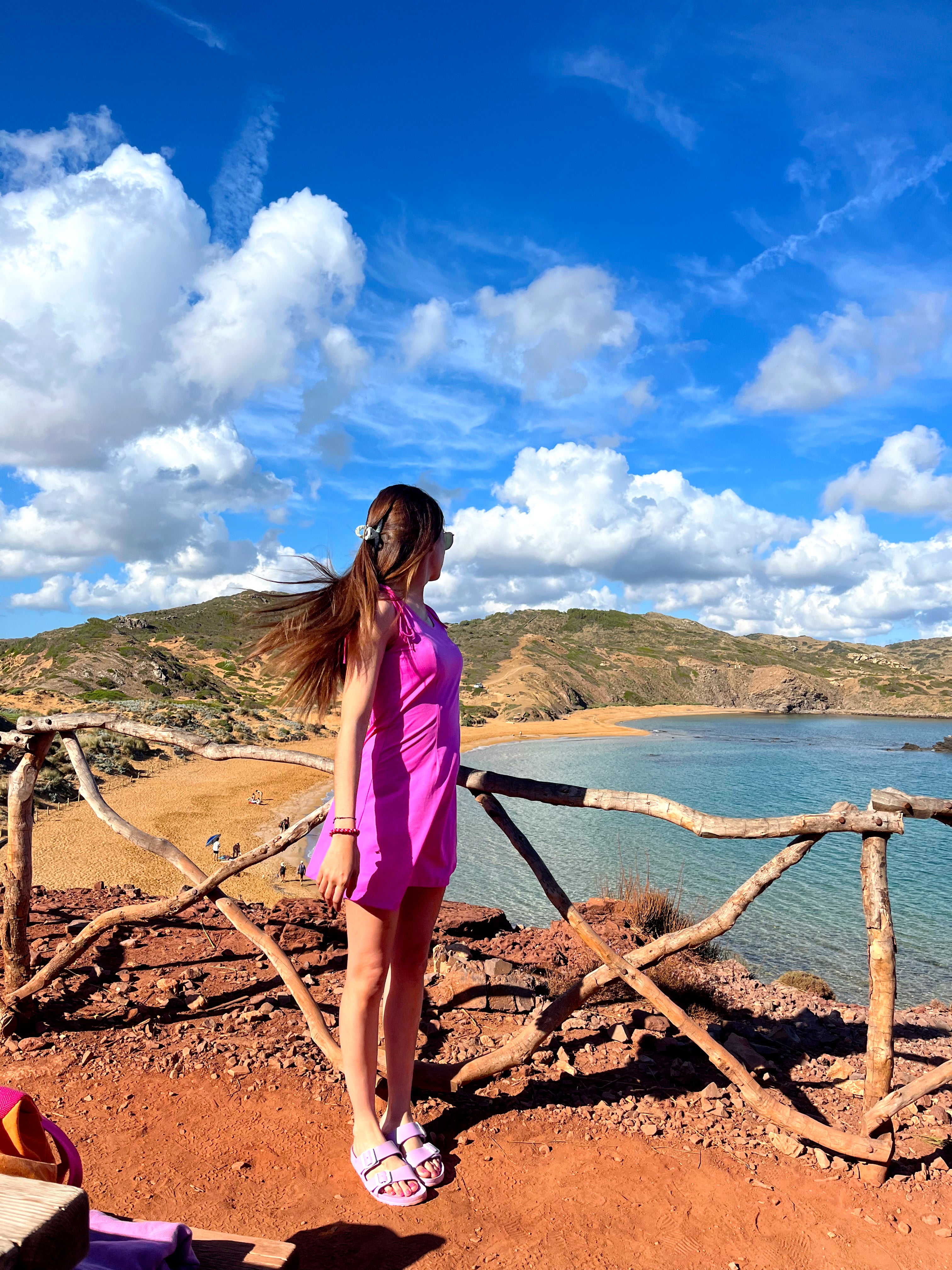 Ginger Pink Dress